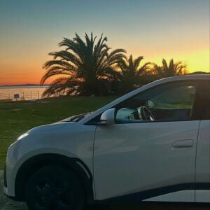 byd-dolphin