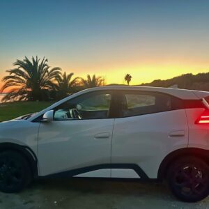 byd-dolphin