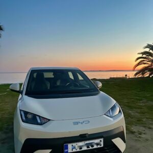 byd-dolphin